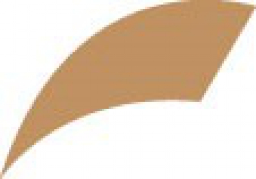 Opaque Stockings - Tan