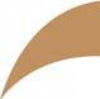 Opaque Stockings - Tan thumbnail